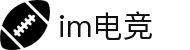 im电竞·(中国)电子竞技平台